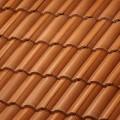 Terra Cotta Gold