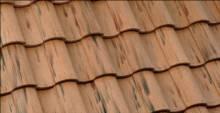Terracotta Flashed